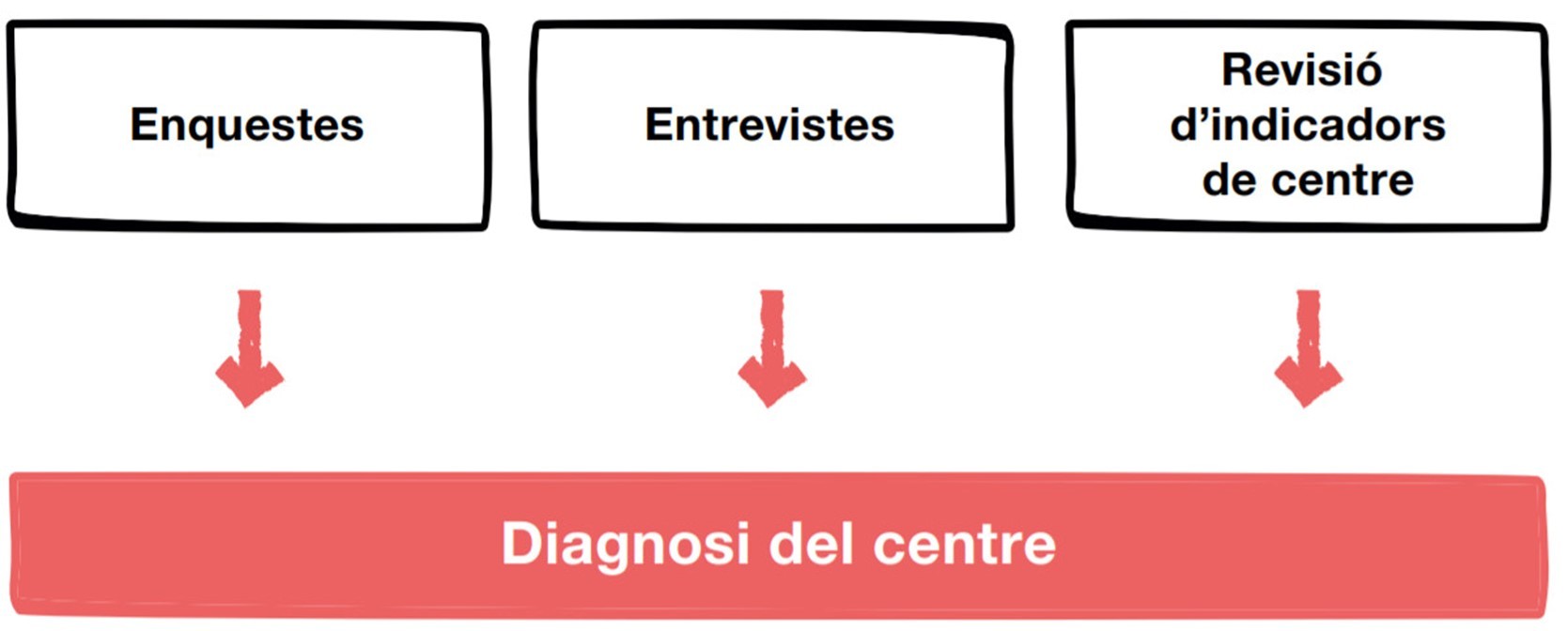 imagen1-2769.jpg